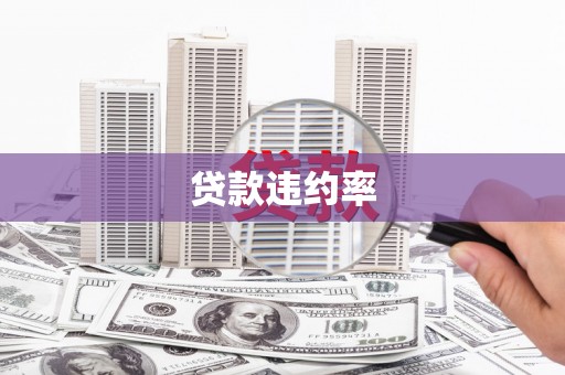 上甘岭贷款违约率