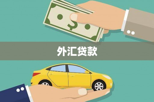 上甘岭外汇贷款
