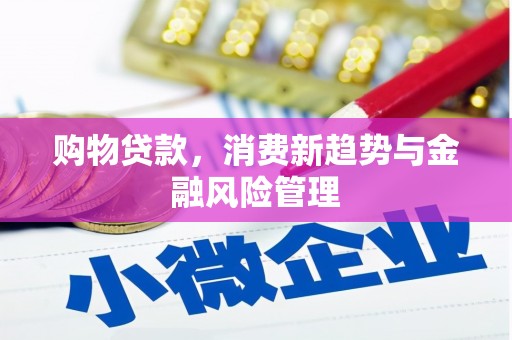 上甘岭购物贷款，消费新趋势与金融风险管理