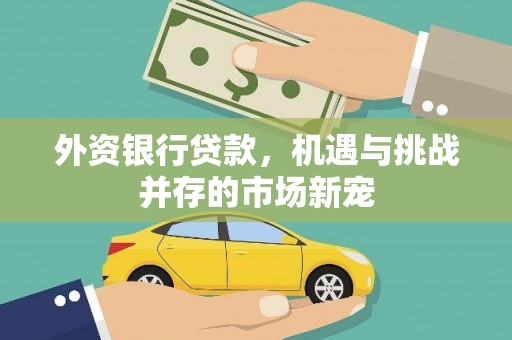 上甘岭外资银行贷款，机遇与挑战并存的市场新宠