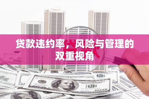 上甘岭贷款违约率，风险与管理的双重视角