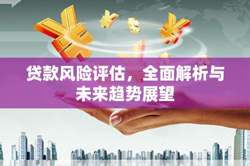 上甘岭贷款风险评估，全面解析与未来趋势展望