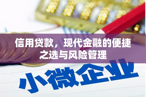 上甘岭信用贷款，现代金融的便捷之选与风险管理