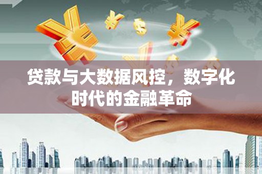 上甘岭贷款与大数据风控，数字化时代的金融革命