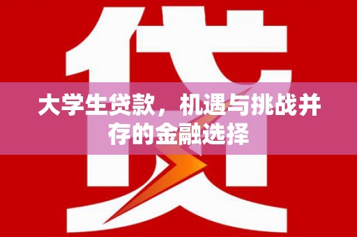 上甘岭大学生贷款，机遇与挑战并存的金融选择