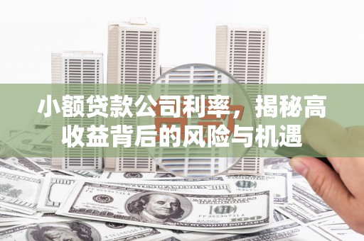上甘岭小额贷款公司利率，揭秘高收益背后的风险与机遇