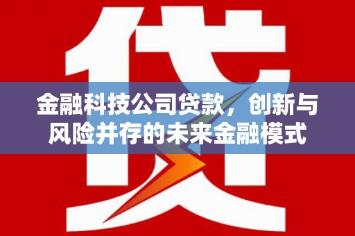 上甘岭金融科技公司贷款，创新与风险并存的未来金融模式
