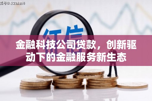 上甘岭金融科技公司贷款，创新驱动下的金融服务新生态
