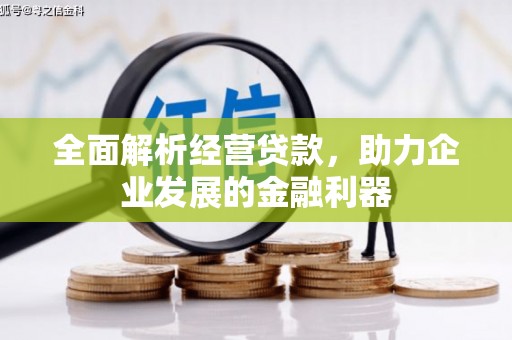 上甘岭全面解析经营贷款，助力企业发展的金融利器