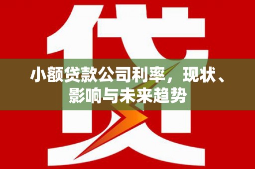 上甘岭小额贷款公司利率，现状、影响与未来趋势
