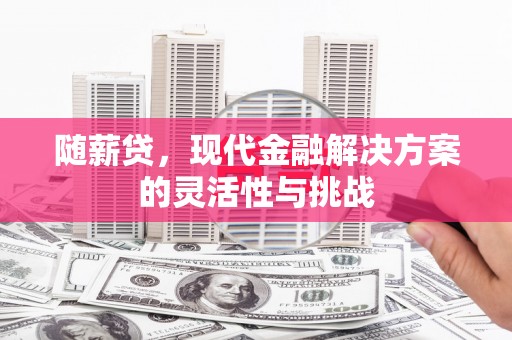 上甘岭随薪贷，现代金融解决方案的灵活性与挑战