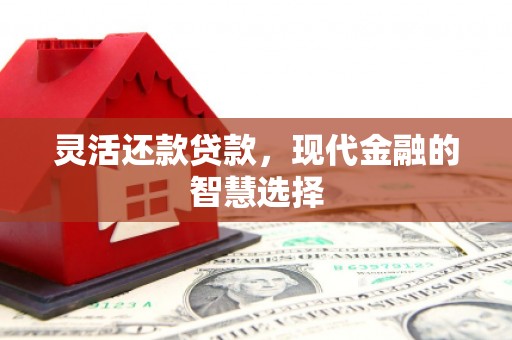 上甘岭灵活还款贷款，现代金融的智慧选择