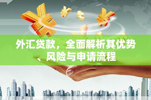 上甘岭外汇贷款，全面解析其优势、风险与申请流程