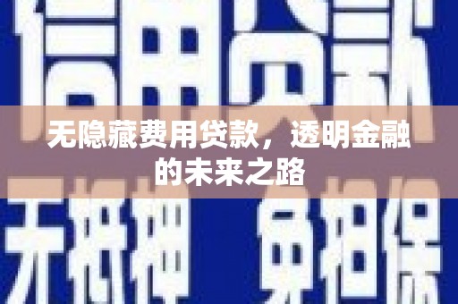 上甘岭无隐藏费用贷款，透明金融的未来之路