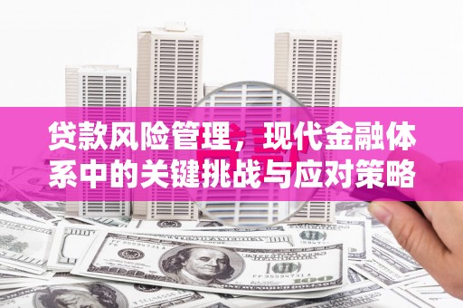 上甘岭贷款风险管理，现代金融体系中的关键挑战与应对策略