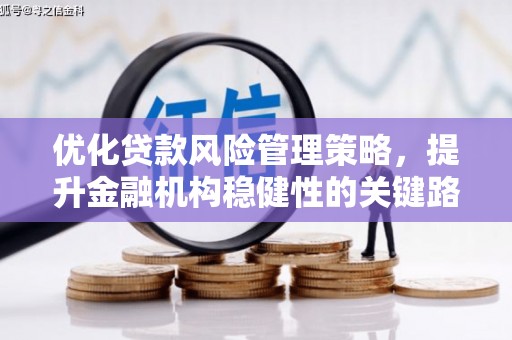 上甘岭优化贷款风险管理策略，提升金融机构稳健性的关键路径