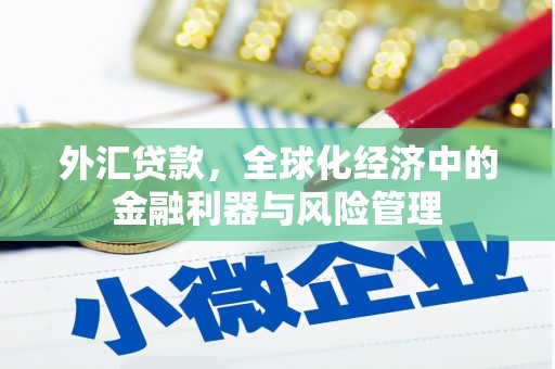 上甘岭外汇贷款，全球化经济中的金融利器与风险管理