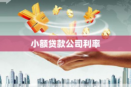 上甘岭小额贷款公司利率