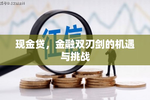 上甘岭现金贷，金融双刃剑的机遇与挑战