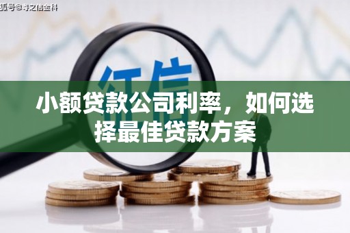 上甘岭小额贷款公司利率，如何选择最佳贷款方案
