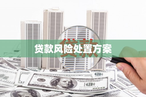 上甘岭贷款风险处置方案
