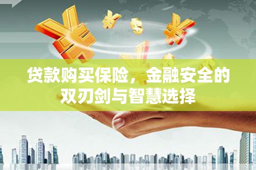 上甘岭贷款购买保险，金融安全的双刃剑与智慧选择