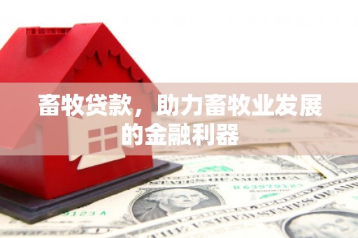 上甘岭畜牧贷款，助力畜牧业发展的金融利器
