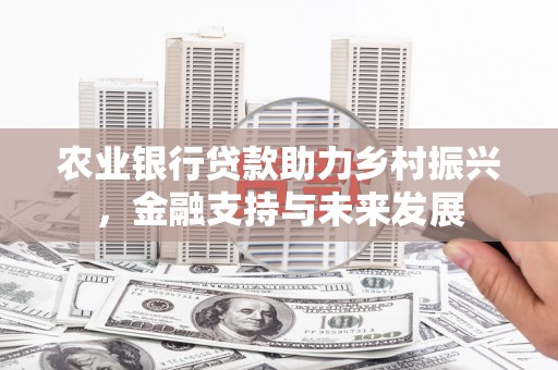上甘岭农业银行贷款助力乡村振兴，金融支持与未来发展