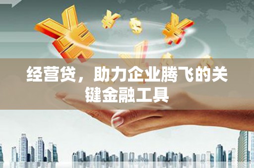 上甘岭经营贷，助力企业腾飞的关键金融工具