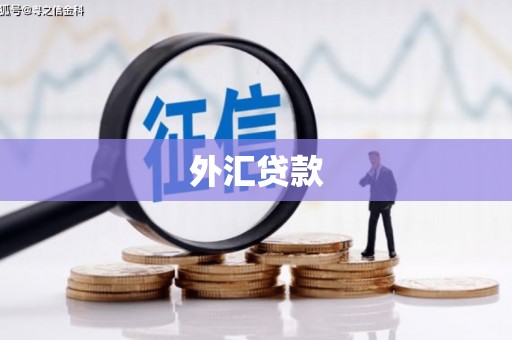 上甘岭外汇贷款
