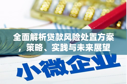 上甘岭全面解析贷款风险处置方案，策略、实践与未来展望
