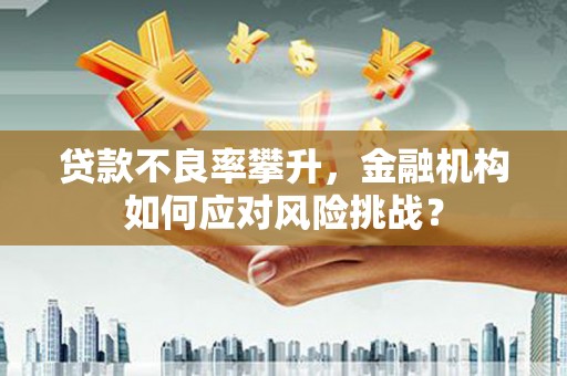 上甘岭贷款不良率攀升，金融机构如何应对风险挑战？