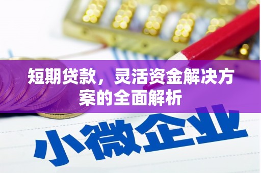 上甘岭短期贷款，灵活资金解决方案的全面解析