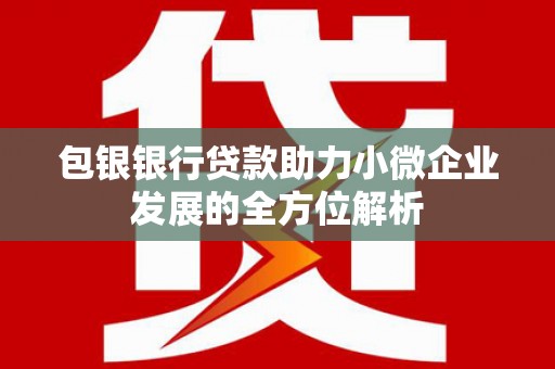 上甘岭包银银行贷款助力小微企业发展的全方位解析