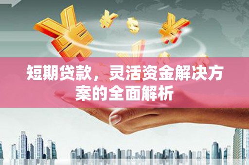 上甘岭短期贷款，灵活资金解决方案的全面解析