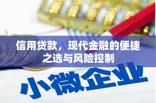 上甘岭信用贷款，现代金融的便捷之选与风险控制