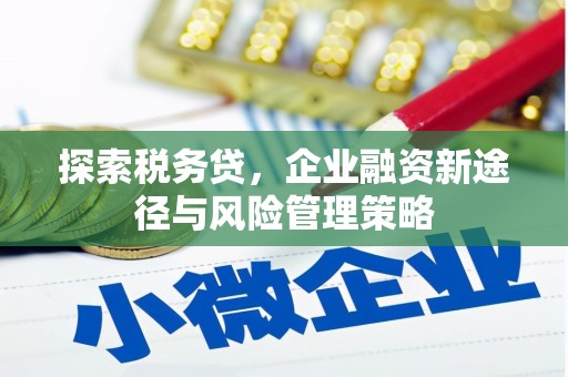 上甘岭探索税务贷，企业融资新途径与风险管理策略