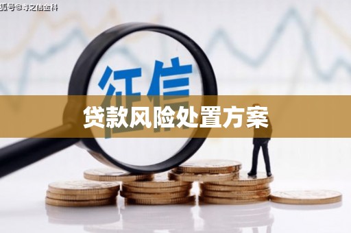 上甘岭贷款风险处置方案