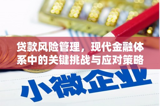 上甘岭贷款风险管理，现代金融体系中的关键挑战与应对策略