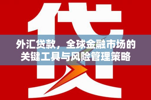 上甘岭外汇贷款，全球金融市场的关键工具与风险管理策略