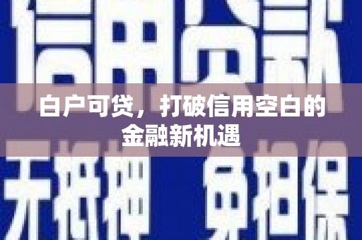 上甘岭白户可贷，打破信用空白的金融新机遇
