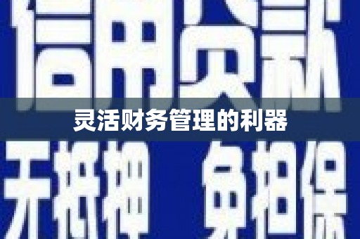 上甘岭灵活财务管理的利器