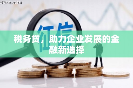 上甘岭税务贷，助力企业发展的金融新选择