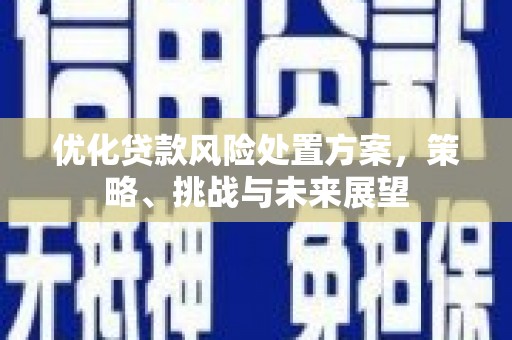 上甘岭优化贷款风险处置方案，策略、挑战与未来展望