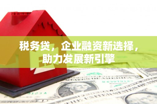 上甘岭税务贷，企业融资新选择，助力发展新引擎
