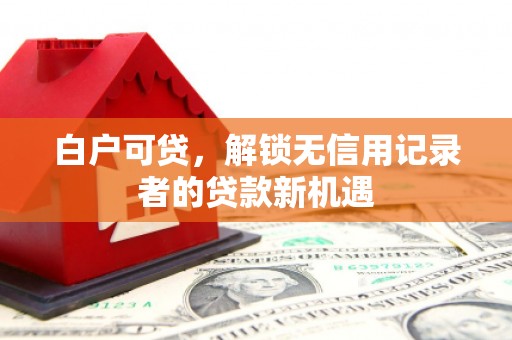 上甘岭白户可贷，解锁无信用记录者的贷款新机遇