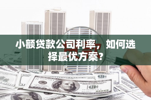 上甘岭小额贷款公司利率，如何选择最优方案？