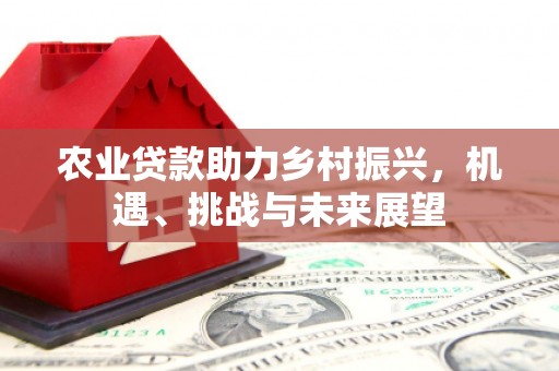 上甘岭农业贷款助力乡村振兴，机遇、挑战与未来展望