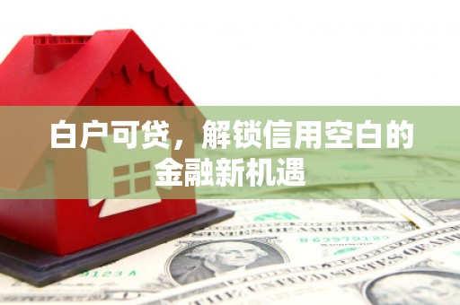 上甘岭白户可贷，解锁信用空白的金融新机遇