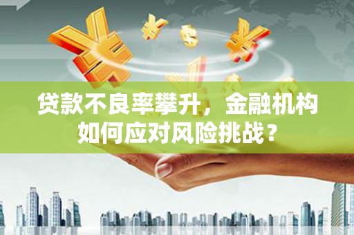 上甘岭贷款不良率攀升，金融机构如何应对风险挑战？